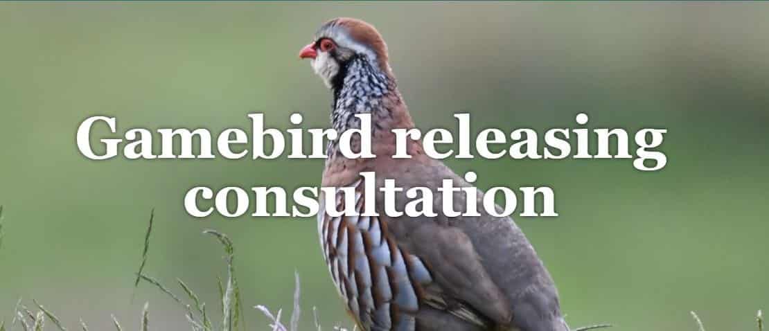 basc.org.uk