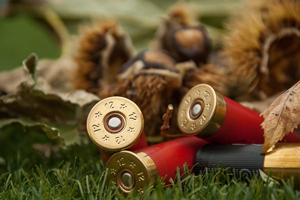 basc.org.uk