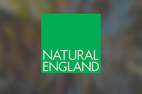 The Natural England Logo