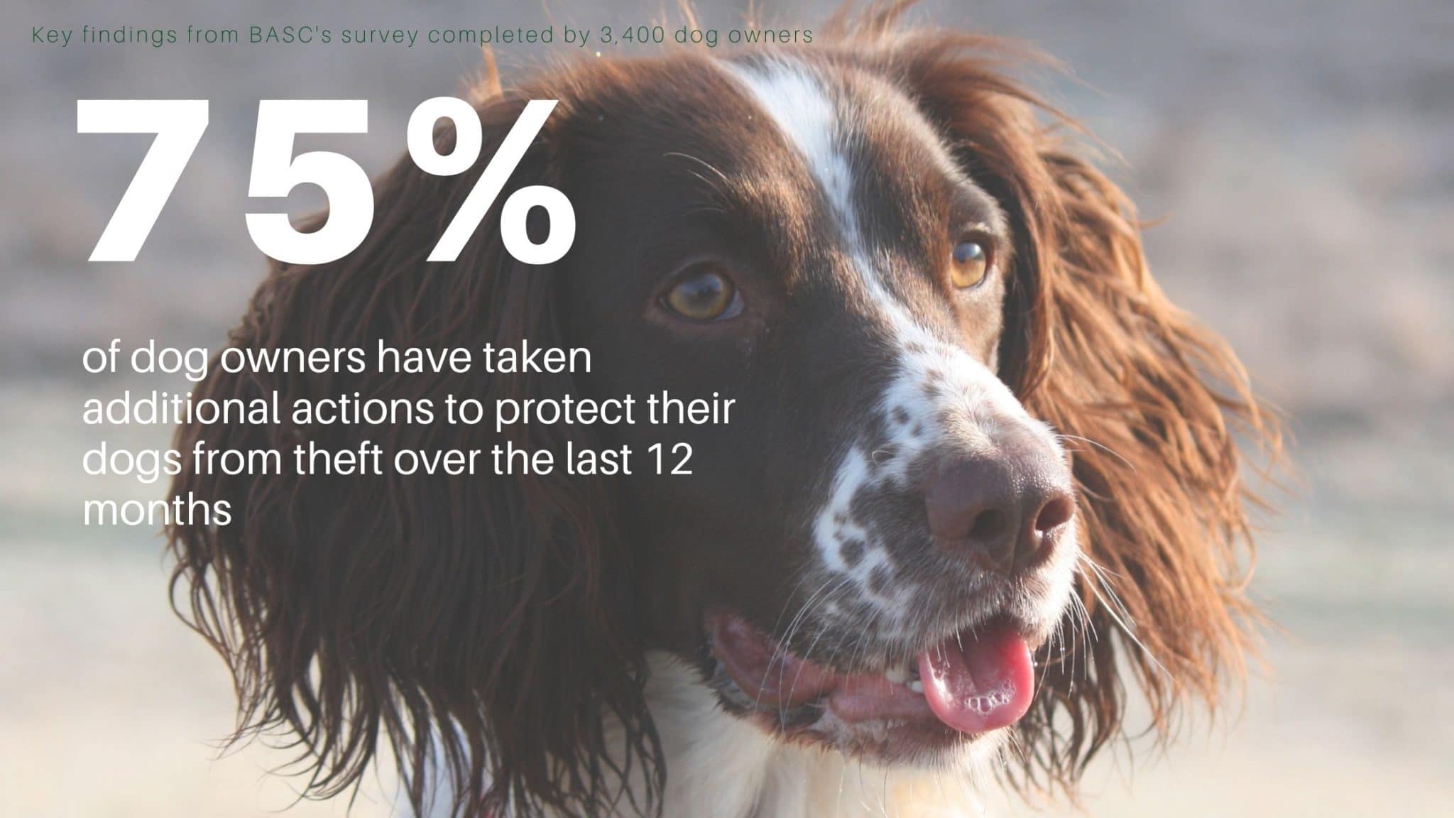 Measuring the impact of dog theft BASC
