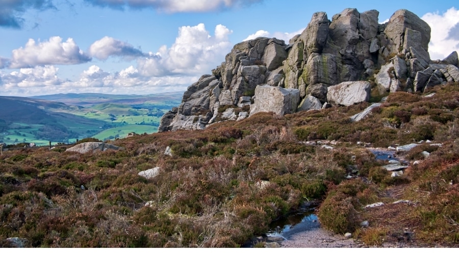 A countryside landscape