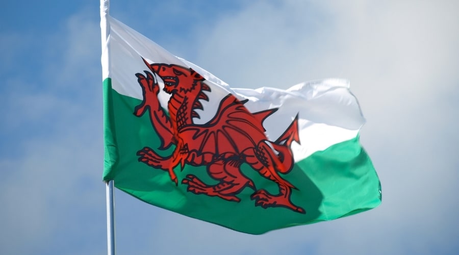 The Welsh flag