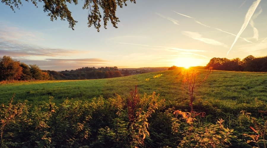 A countryside landscape