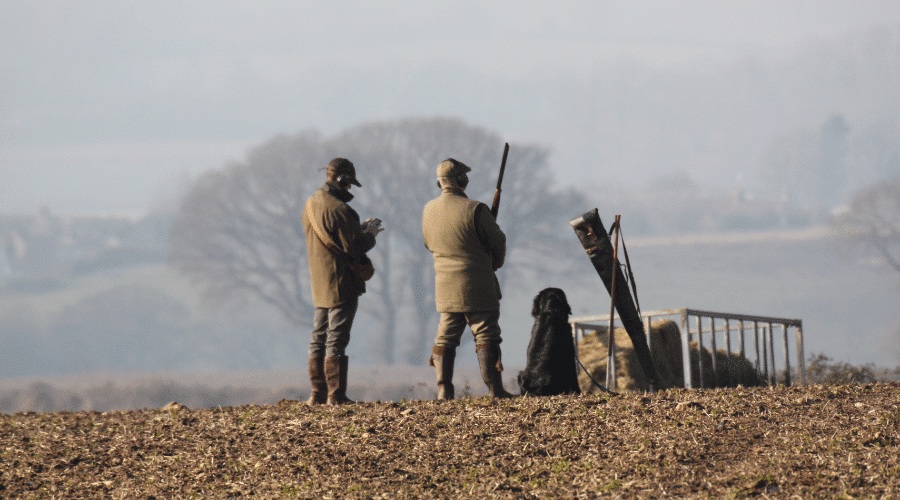 Two shooters with a gundog