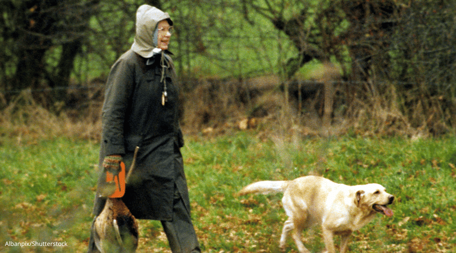 HRH The Queen walking with a labrador