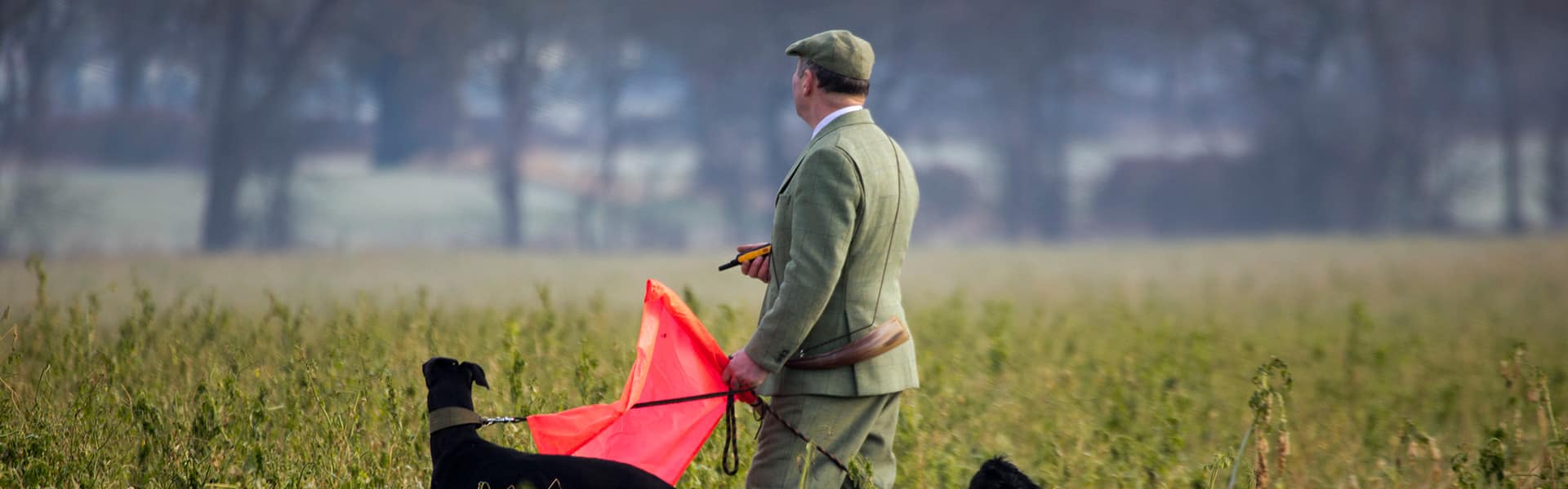 A beater in the field with a gundog