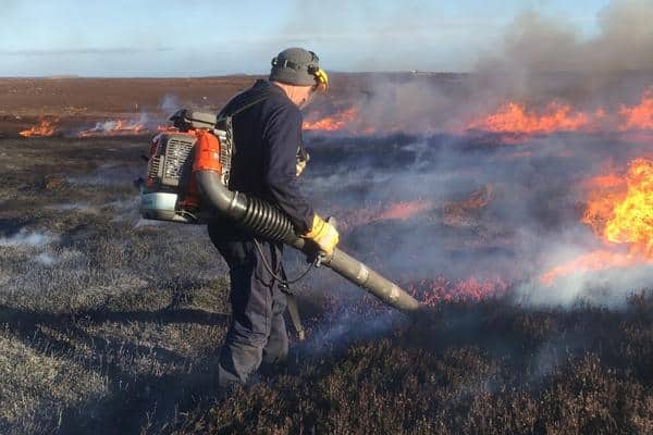 Controlled burning