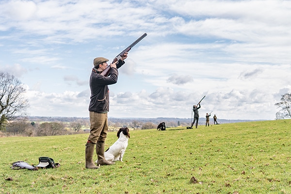 A shooter in a field with their gundog taking aim
