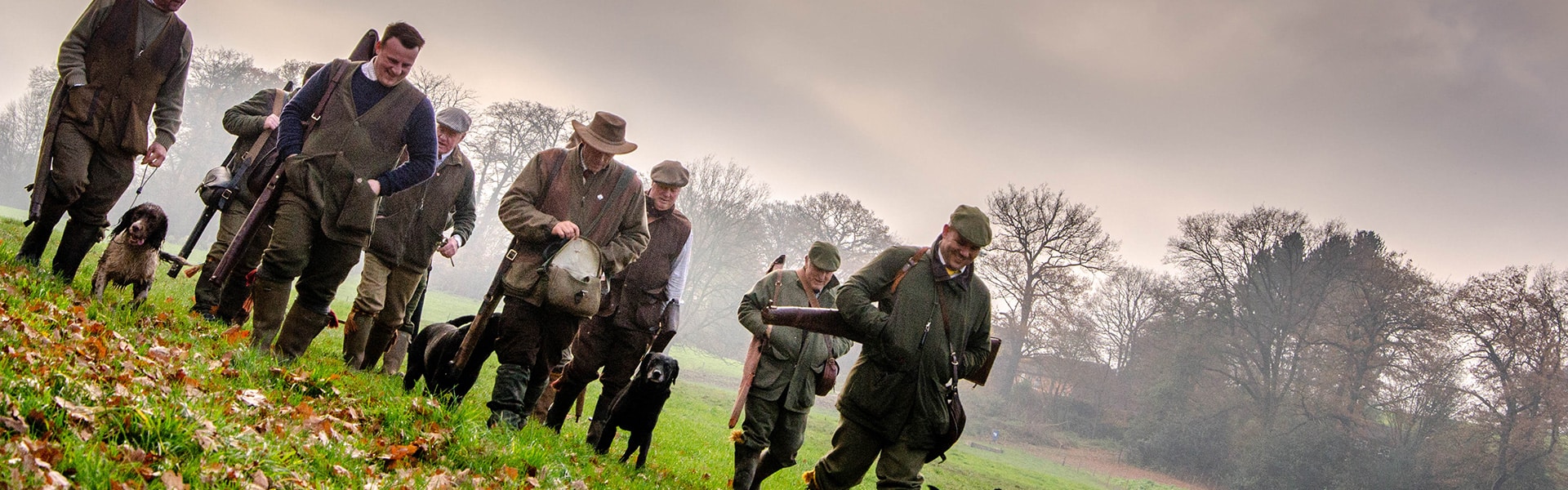 A group of shooters walking with their dogs through a field