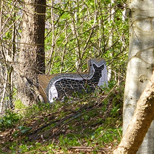 A safe shot deer target placed in trees