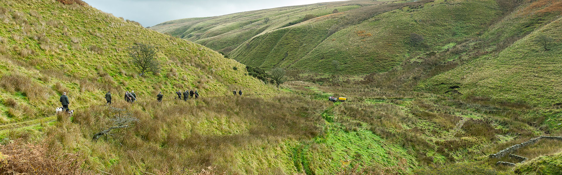 Shooters on landscape