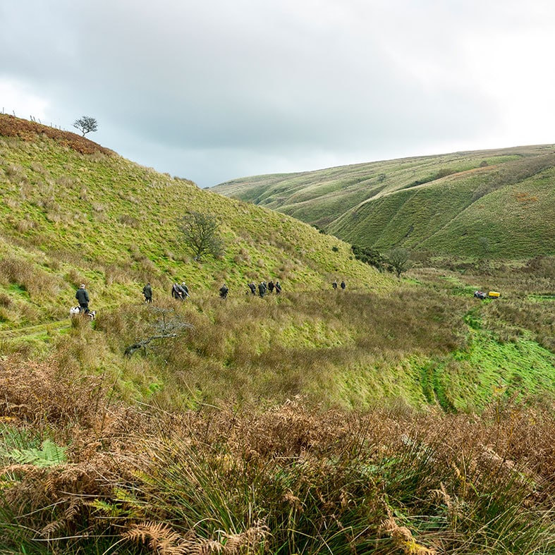 Shooters on landscape