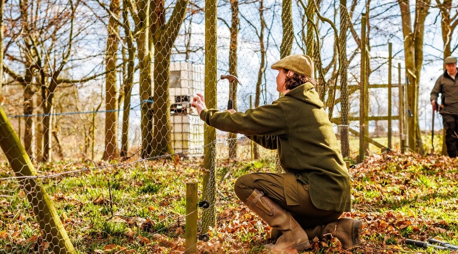 Gamekeeper building a fence for pen