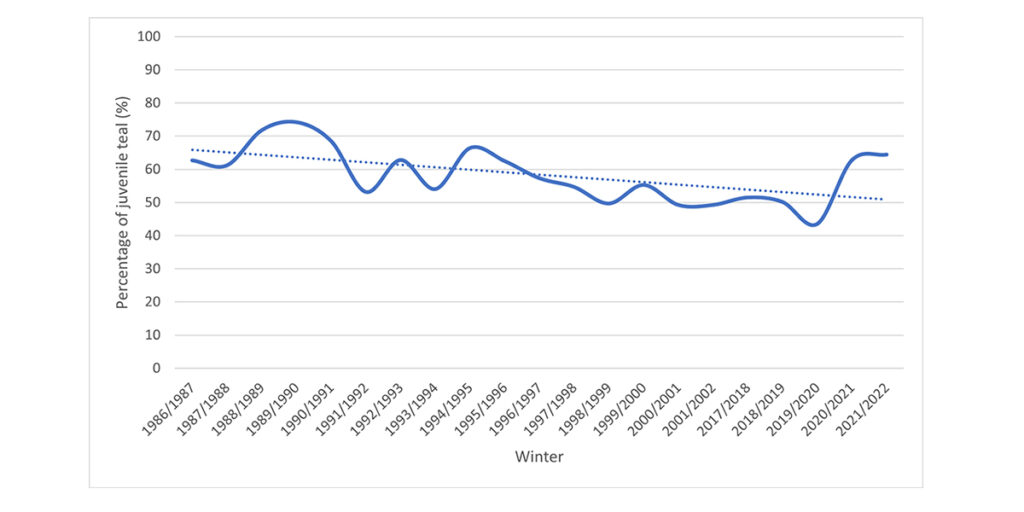 A graph showing the percentage of juvenile teals since 1986