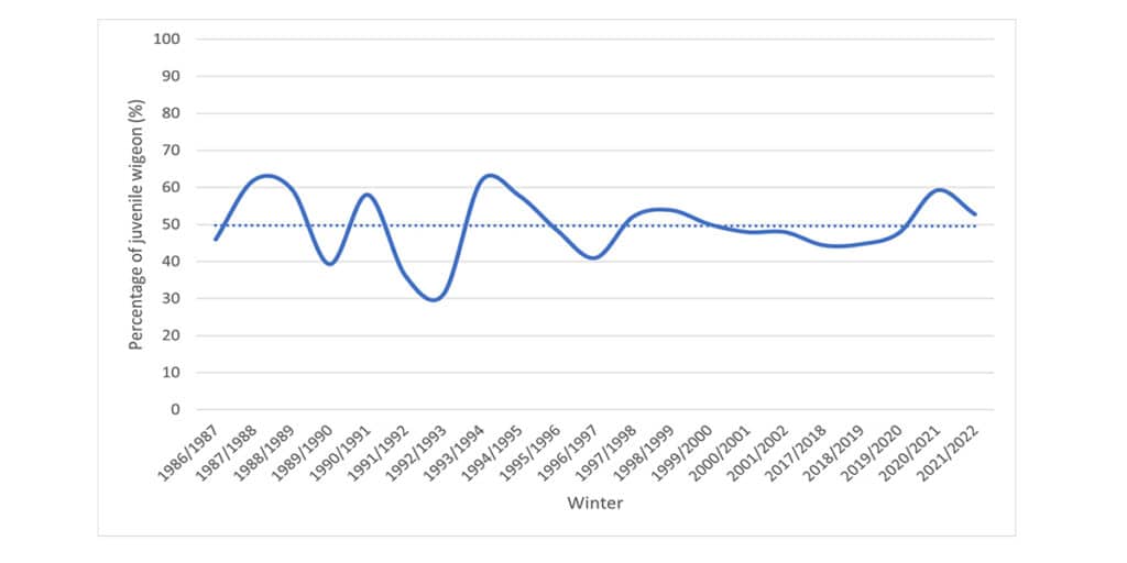 A graph showing the percentage of juvenile wigeon since 1986