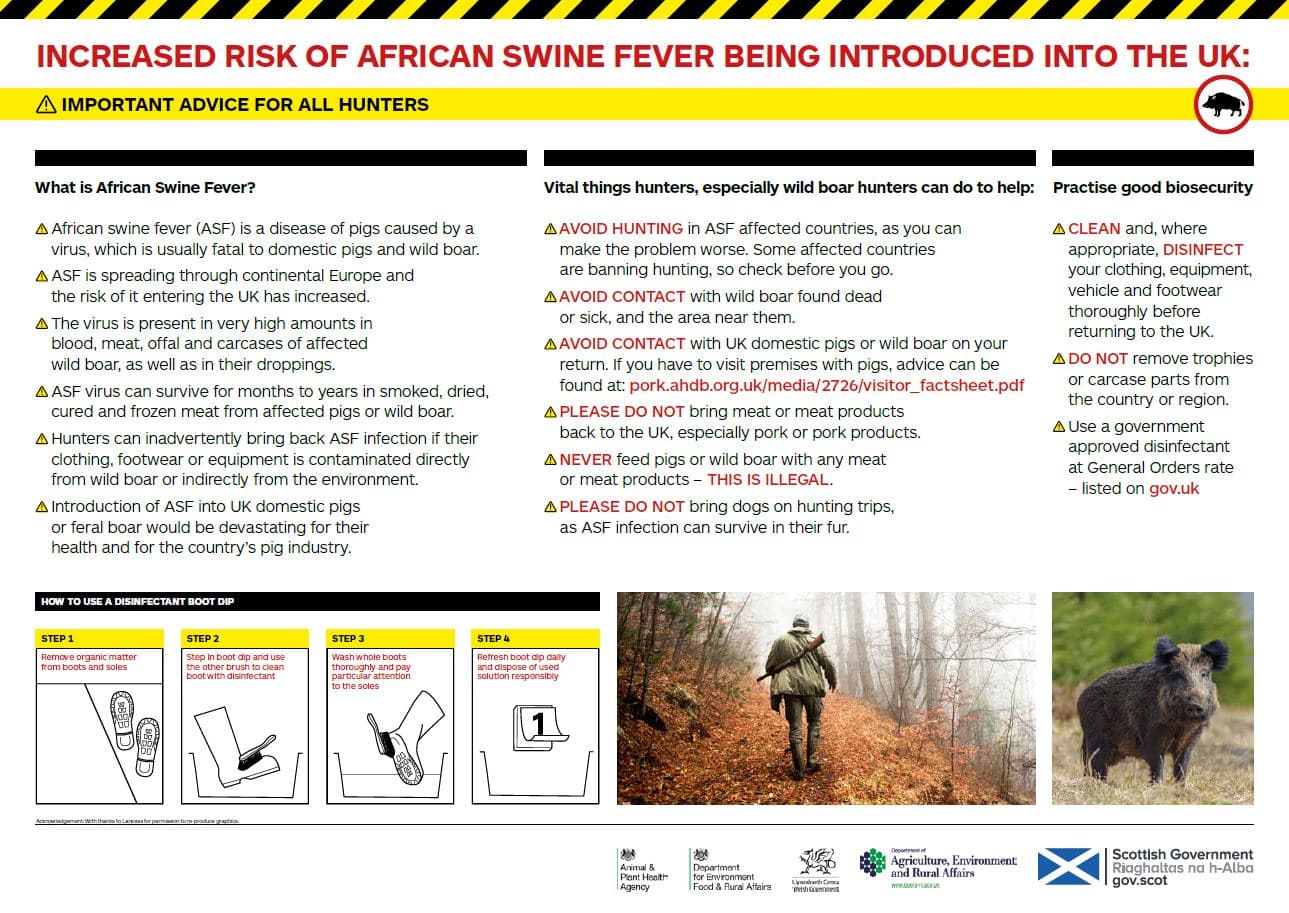 A screenshot of an information sheet about African swine fever
