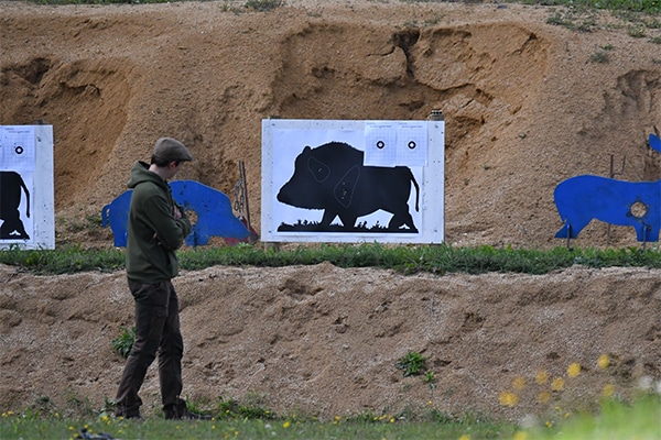 A boar target