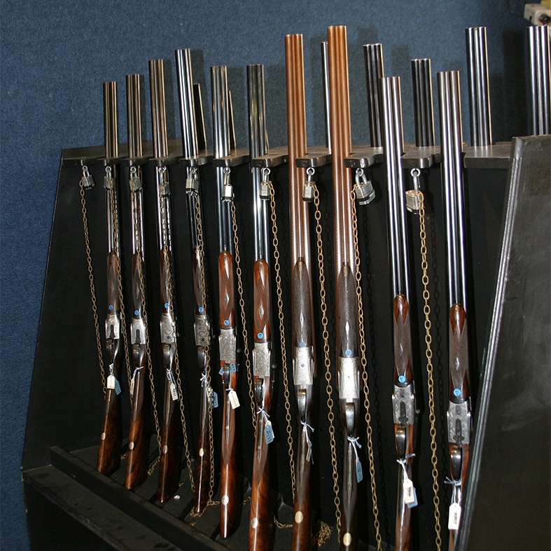 A rack of secure shotguns