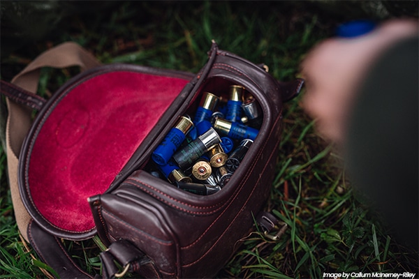 Shotgun cartridges in a cartridge pouch