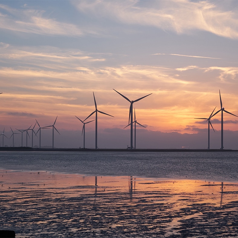 A wind farm