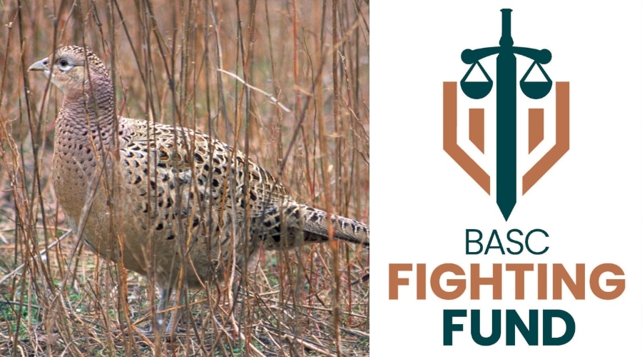 A grey partridge and the BASC Fighting Fund logo