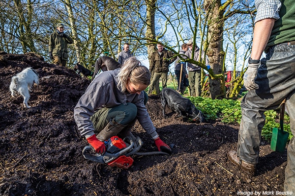 A woman clearing rats from a mound