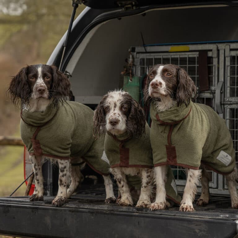 Ruff and tumble BASC