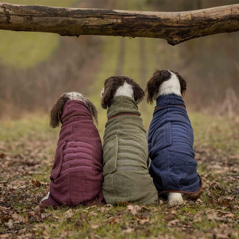 Ruff and tumble BASC