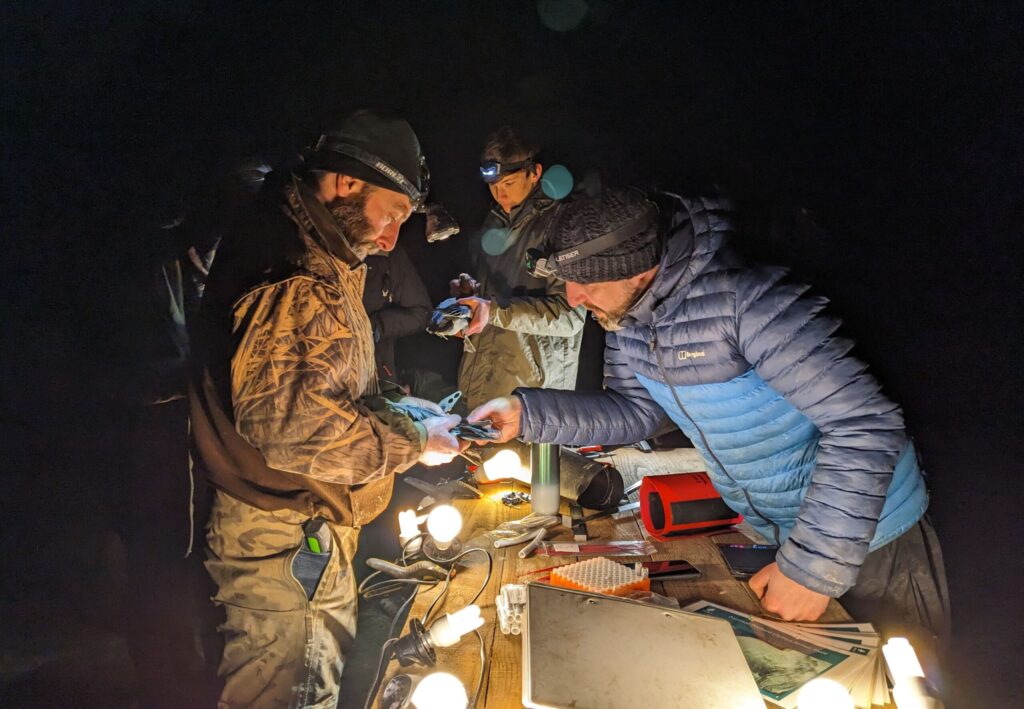 A group of conservation workers inspecting ducks