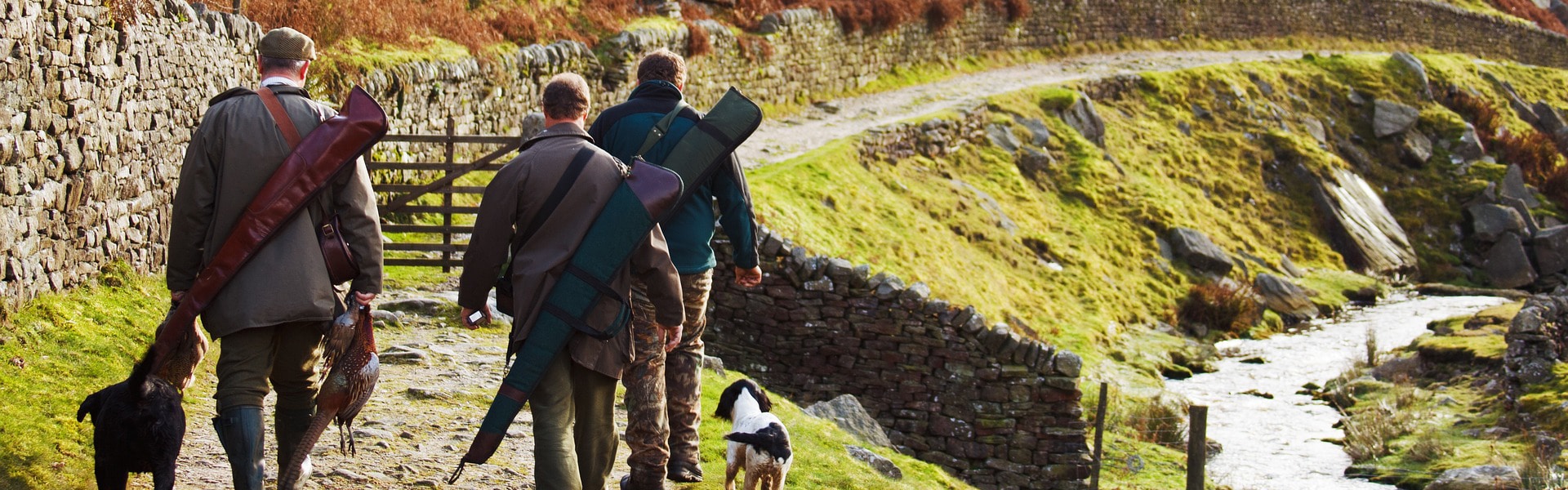 Game shooters walking down a country lane with a gundog