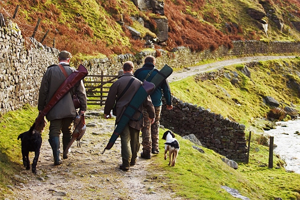 Game shooters walking down a country lane with a gundog