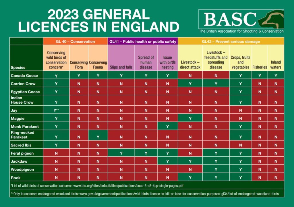 A table of information on general licences in England