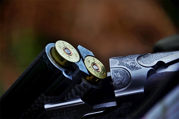 A close up of a shotgun barrel loaded with two cartridges