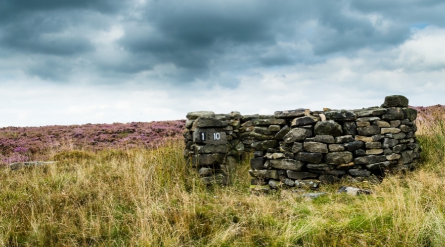 A stone wall in a moorland