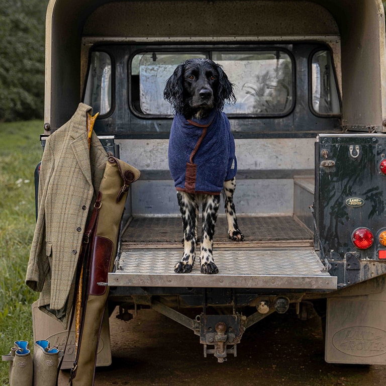 Gundog wearing Ruff and Tumble coat in back of vehicle