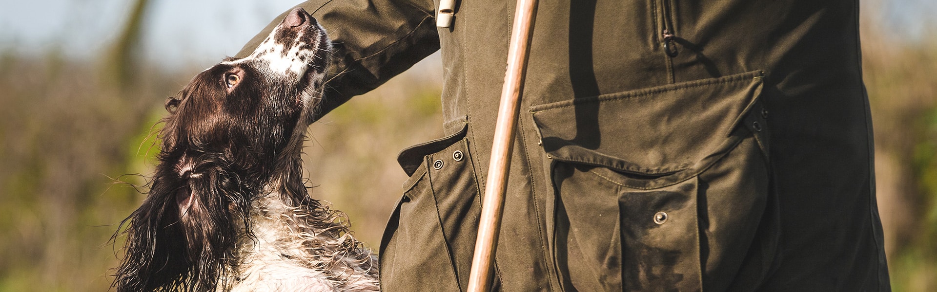 Gundog with its owner