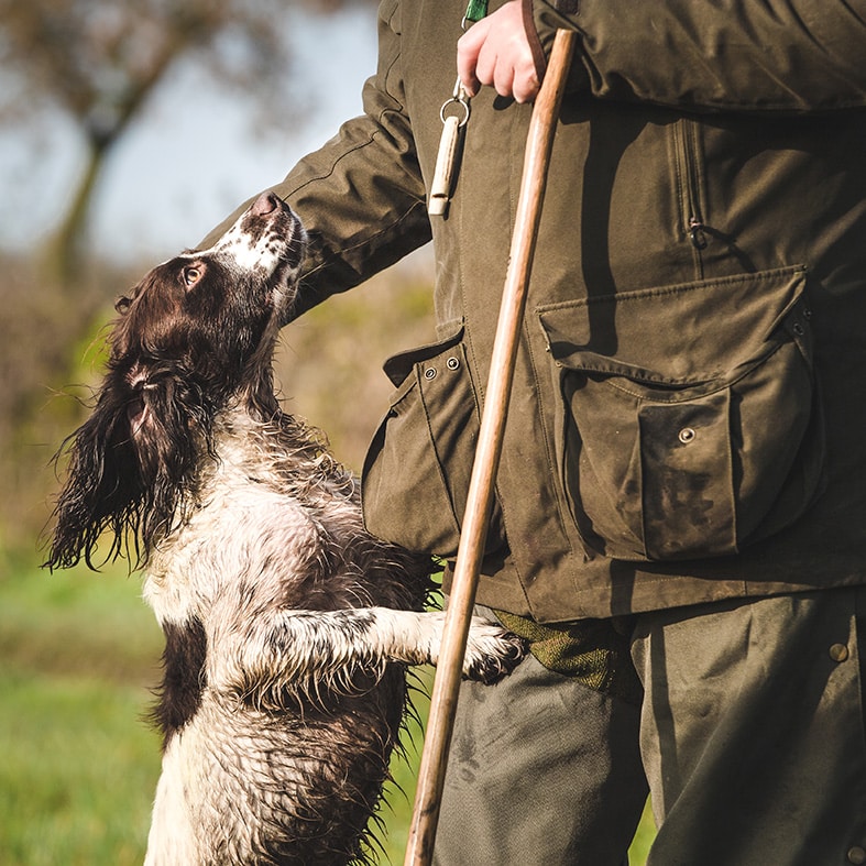 Gundog with its owner