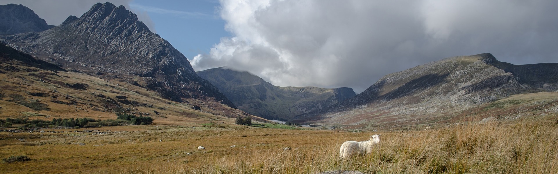 Welsh mountains and countryside
