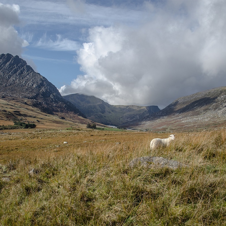 Welsh mountains and countryside