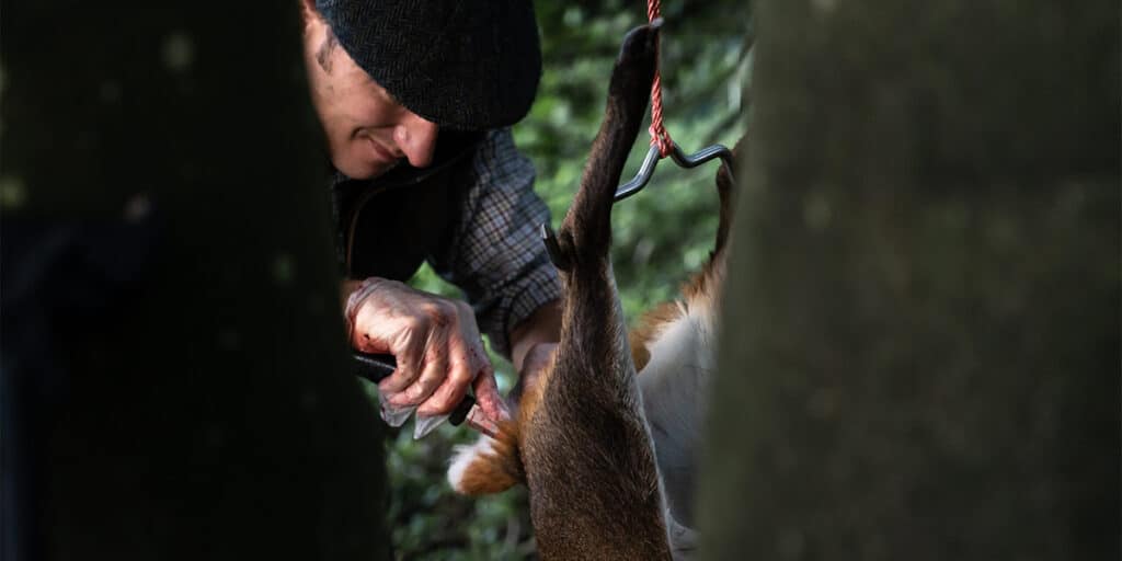 A deer stalking butchering a carcass