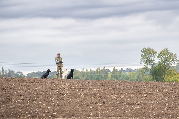 A game shooter with gundogs