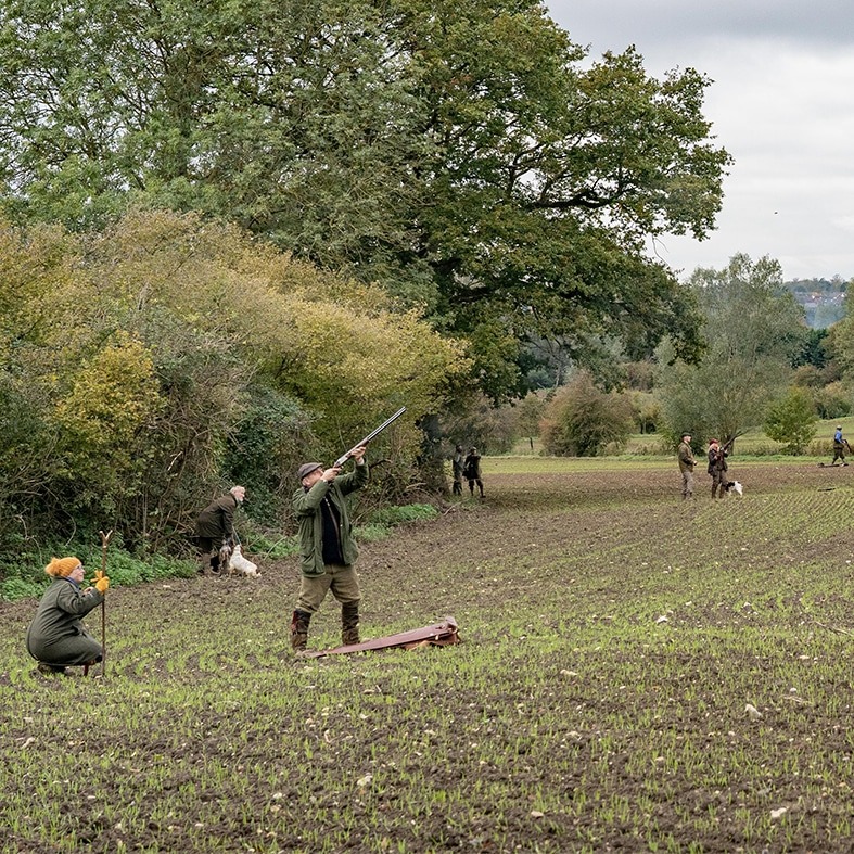 Game shooters in a field aiming with their shotguns