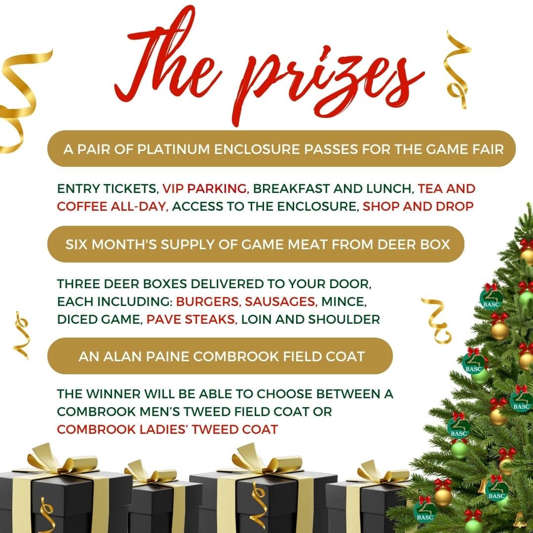 Basc christmas cards