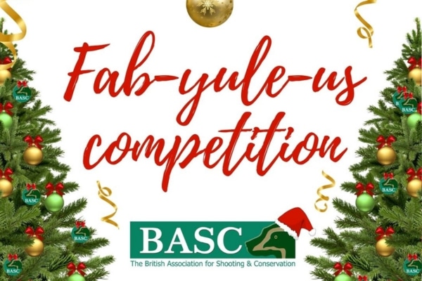 Christmas competition graphic