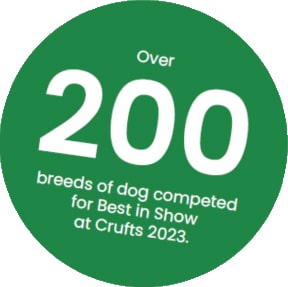 Over 200 breeds of dog competed for Best in Show for Crufts 2023