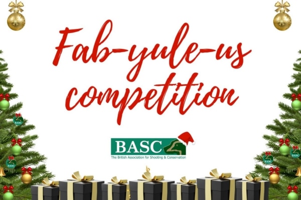 BASC Christmas competition logo