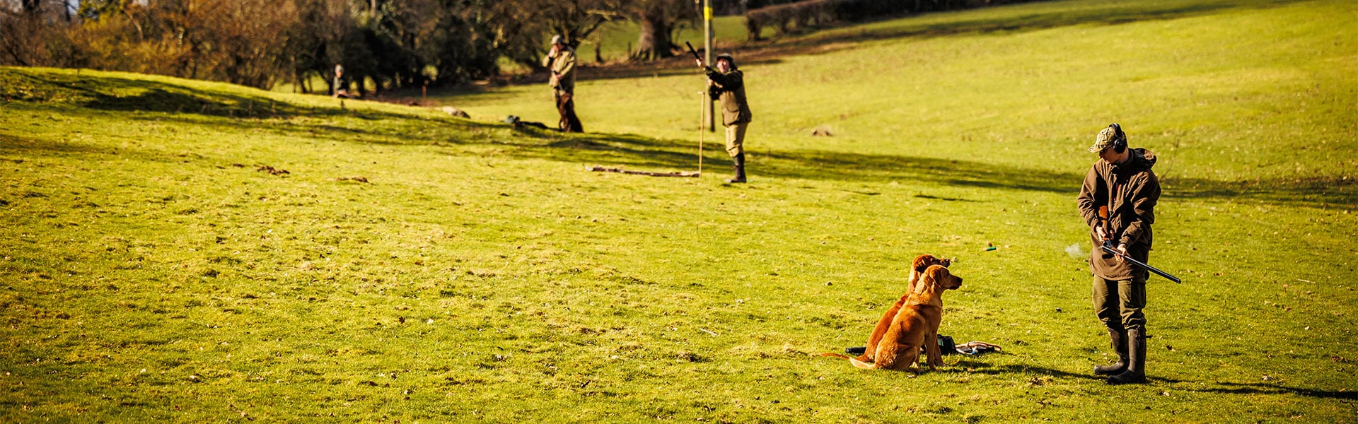 A game shooter in a field with their two gundogs
