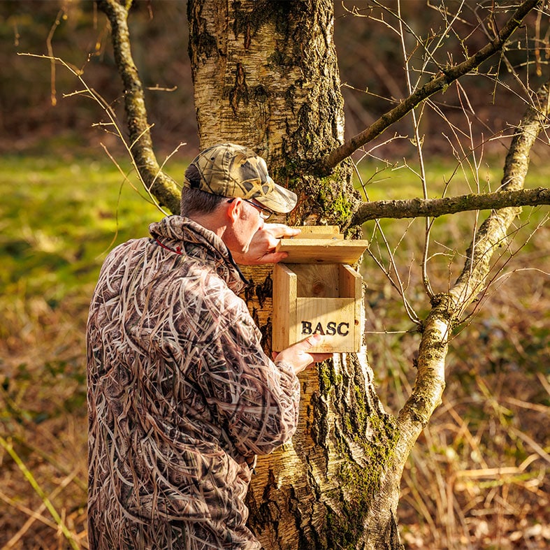 A conservationist installing a BASC bird box