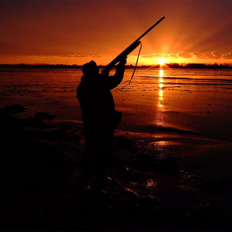 A wildfowler aiming a shotgun at sunset