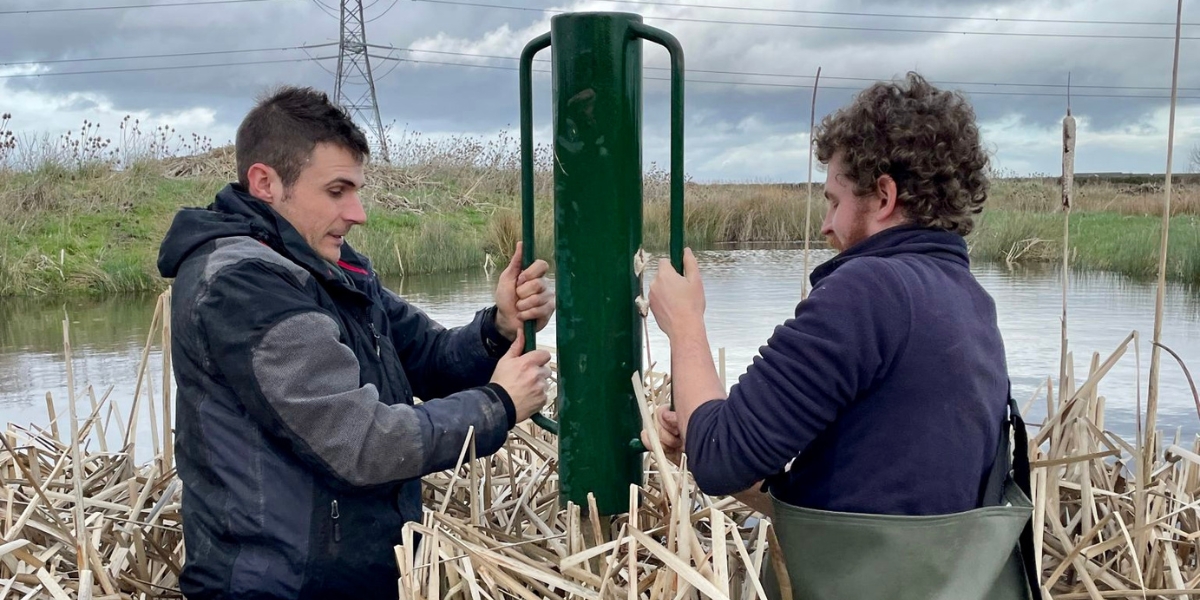 BBWA put up duck nest tubes to support mallards